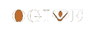 Société d'Ingénierie OGIVE-SAS